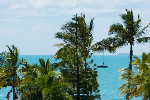 Heart Hotel And Gallery Whitsundays - Surfers Gold Coast 13