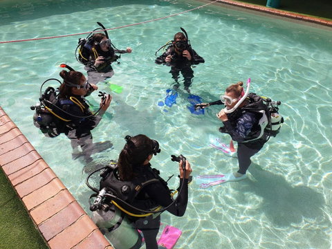 Backpackers In Paradise 18-35 Hostel - Surfers Gold Coast 18