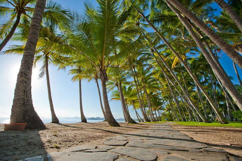 Sarayi Boutique Hotel - Surfers Gold Coast 8