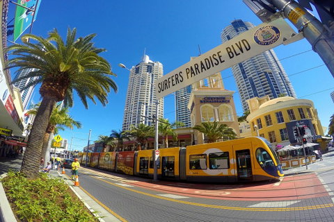 Seacrest Beachfront Apartments Surfers Paradise - Surfers Gold Coast 39