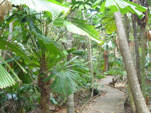 Port Douglas Retreat - Surfers Gold Coast 18