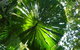 Port Douglas Retreat - thumb 19