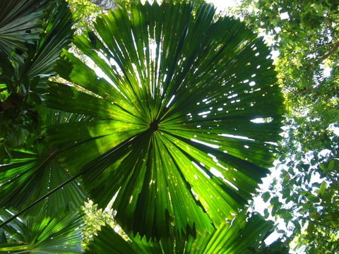 Port Douglas Retreat - Surfers Gold Coast 19