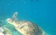 Port Douglas Retreat - thumb 11