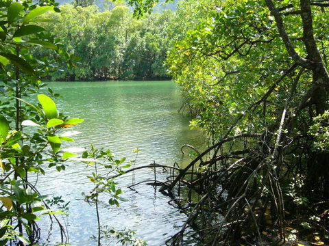 Port Douglas Retreat - Surfers Gold Coast 17