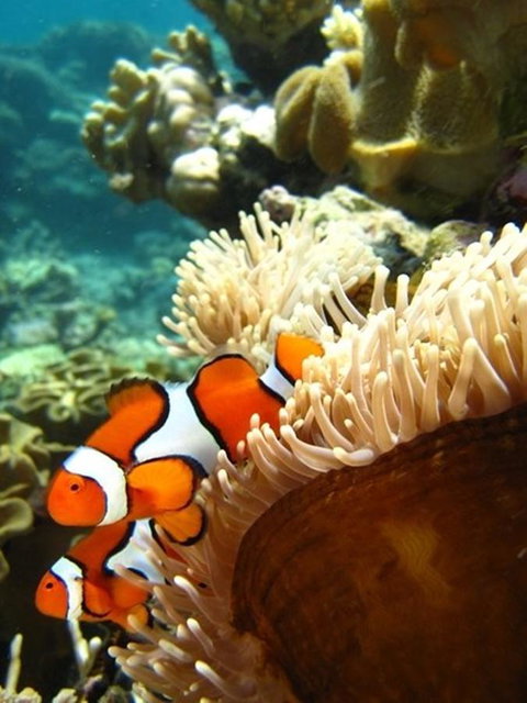 Port Douglas Retreat - Surfers Gold Coast 12