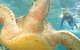 Port Douglas Retreat - thumb 15