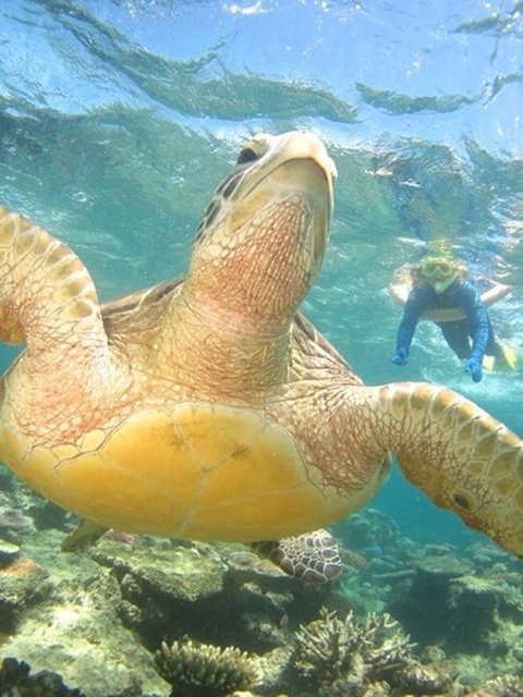 Port Douglas Retreat - Surfers Gold Coast 15