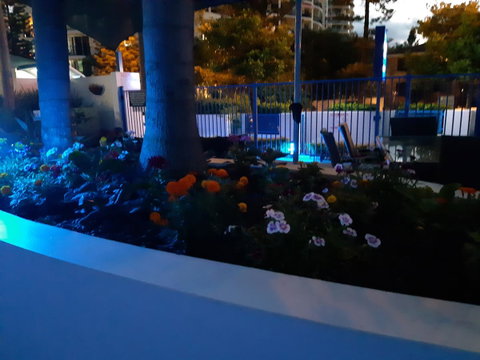Surfers Beach Resort One - Surfers Gold Coast 9