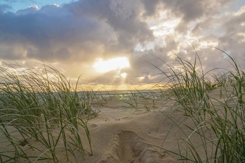 San Marino By The Sea Apartments - Surfers Gold Coast 29