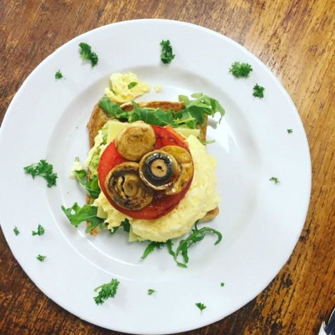 Essence Suites Taringa - Surfers Gold Coast 28