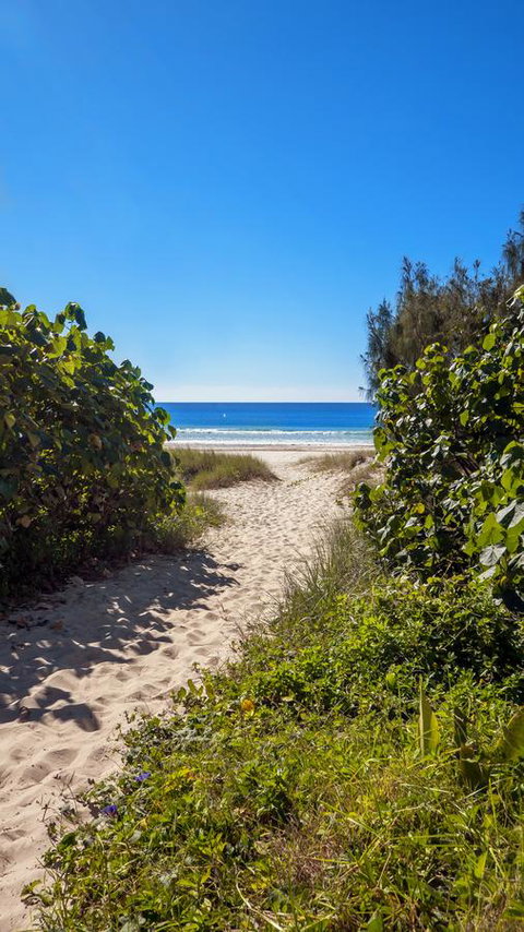 Bilinga Beach Motel - Surfers Gold Coast 26