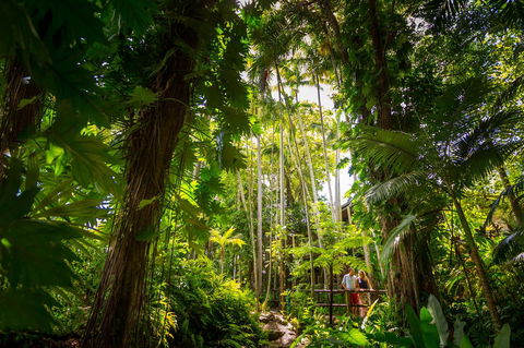 Cairns Colonial Club Resort - Surfers Gold Coast 22
