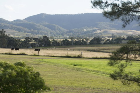 Windarra Lodge - Surfers Gold Coast 3
