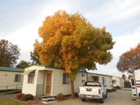 Book Wodonga Accommodation Vacations Surfers Gold Coast Surfers Gold Coast