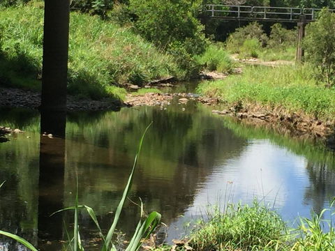 Yandina Caravan Park - Surfers Gold Coast 2