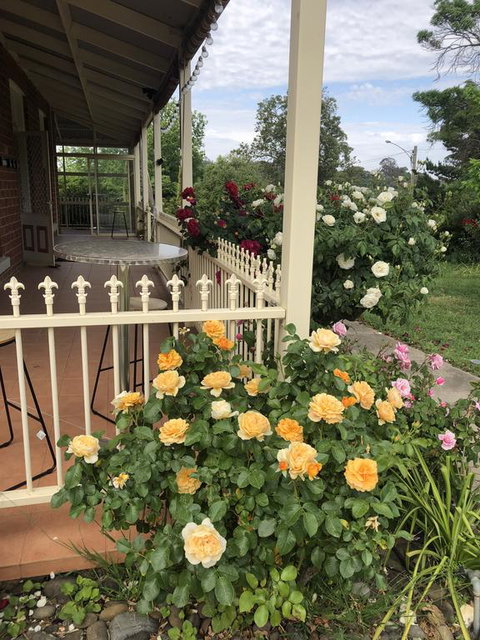 Zen Garde - Surfers Gold Coast 1