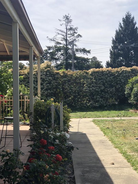 Zen Garde - Surfers Gold Coast 0