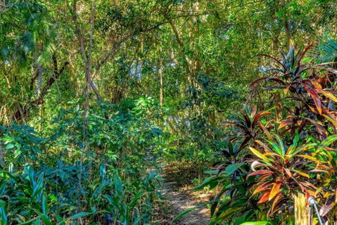 Absolute Beachfront, Heart Of Port Douglas - 24 S - Surfers Gold Coast 3