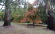 Alpine Riverside Cottages - thumb 4