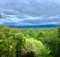 Daintree Manor BB - Surfers Gold Coast