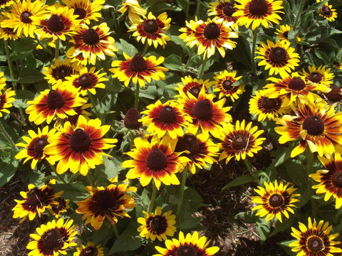 Eastgate On The Range Motel - Surfers Gold Coast 16