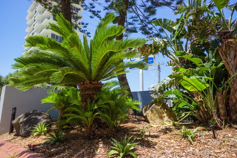 Carrington Court - Surfers Gold Coast 37