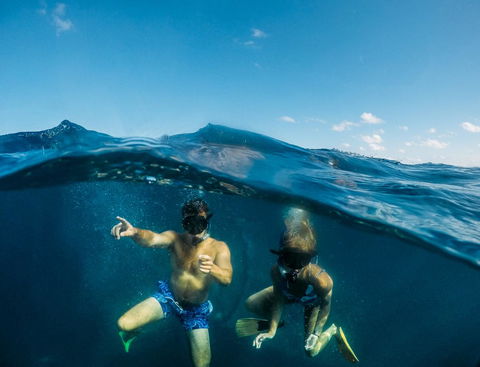 Manta Lodge YHA & Scuba Centre - Surfers Gold Coast 12