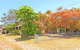 'Daves Place', 27 Rigney St - Holiday House With WIFI, Aircon & Boat Parking - thumb 0