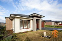 Book Cranbourne Accommodation Vacations Surfers Gold Coast Surfers Gold Coast