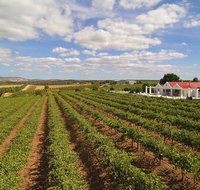 1837 Barossa Luxury Vineyard Cottages - Surfers Gold Coast