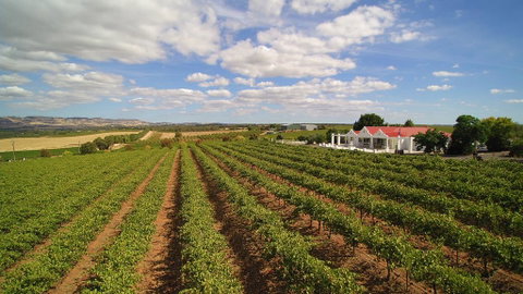 1837 Barossa Luxury Vineyard Cottages - Surfers Gold Coast 0