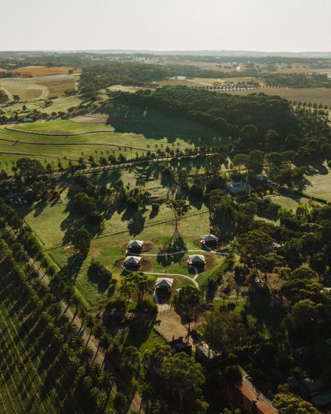 CANVS By CABN Seppeltsfield Barossa - Surfers Gold Coast 1