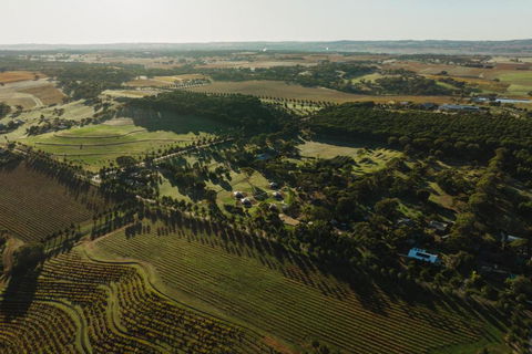CANVS By CABN Seppeltsfield Barossa - Surfers Gold Coast 2