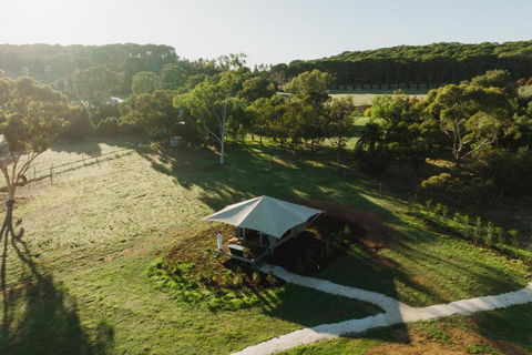 CANVS By CABN Seppeltsfield Barossa - Surfers Gold Coast 0