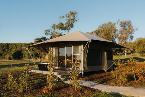 CANVS By CABN Seppeltsfield Barossa - Surfers Gold Coast 3