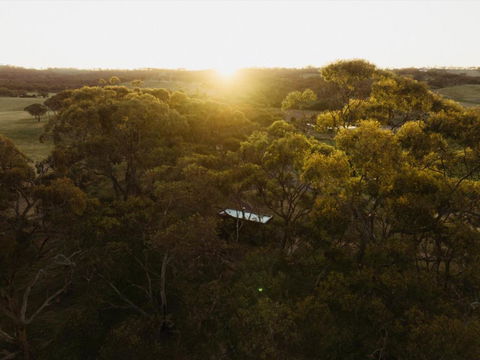 CABN Clare Valley - Surfers Gold Coast 4