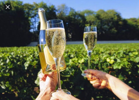 D104 Winston Fresh Fantastic - Surfers Gold Coast 4