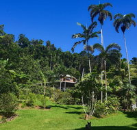 A Daintree Garden - Surfers Gold Coast