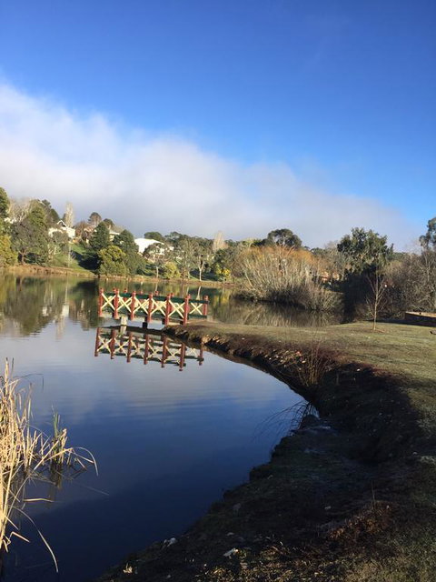 Abode33 - Surfers Gold Coast 3