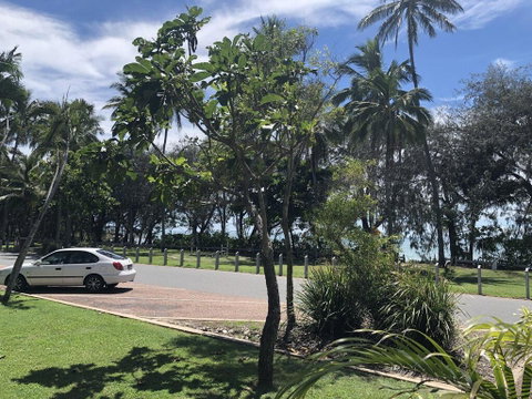 Absolute Beachfront - Surfers Gold Coast 3