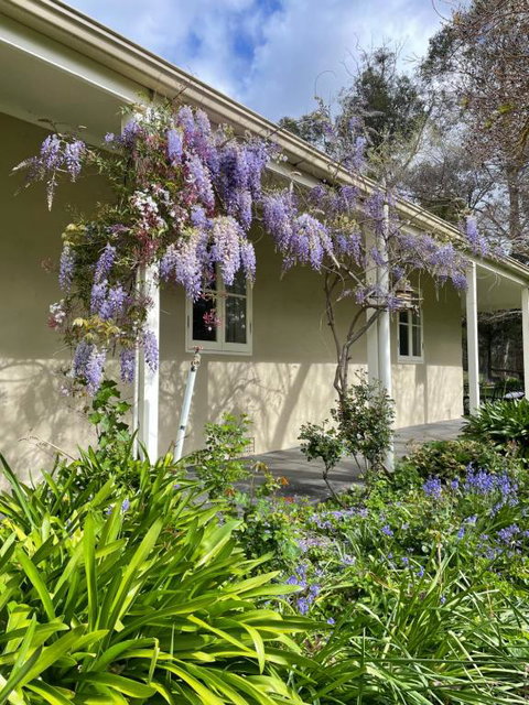 Fleetwood Cottage Bed And Breakfast - Surfers Gold Coast 4