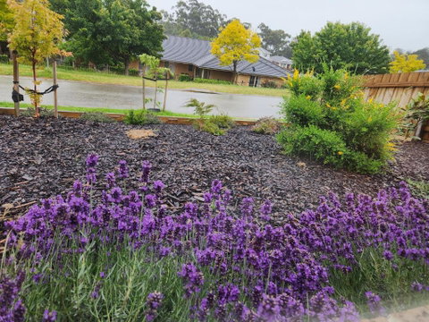 Getaway On Amaroo Way - Surfers Gold Coast 1