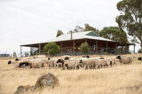 Gilgraves Vineyard Farmstay - Surfers Gold Coast 0