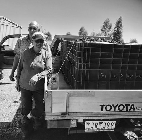 Gilgraves Vineyard Farmstay - Surfers Gold Coast 4