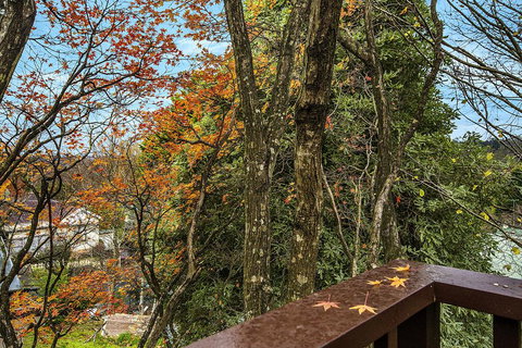 Allambee - Surfers Gold Coast 2