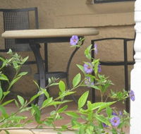 Amalie Cottage Waikerie - Surfers Gold Coast