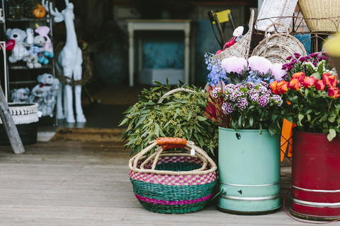 Angel Sussurri - Surfers Gold Coast 3