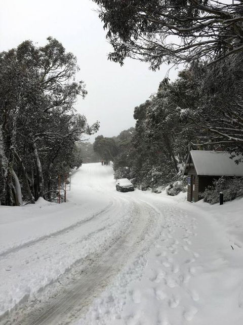 MAGNIFICENT SKIING ON MOUNT BULLER - Surfers Gold Coast 3
