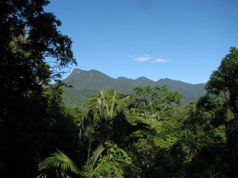 Mossman Gorge Bed And Breakfast - Surfers Gold Coast 0
